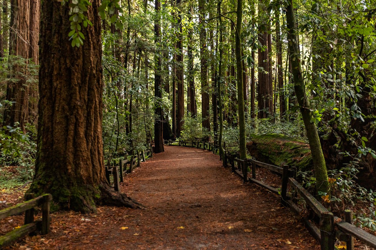 7 California State Parks: Redwoods to Coast